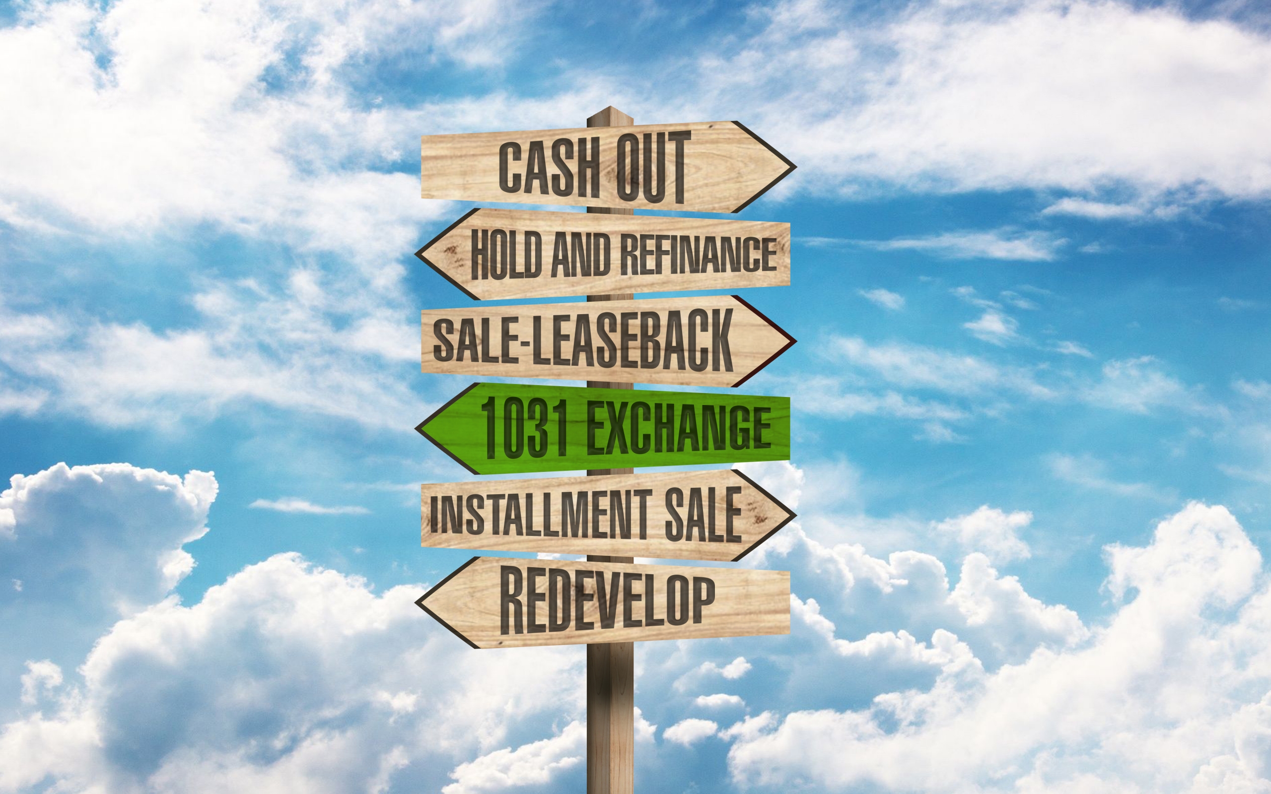 Real Estate Options Sign_LIME